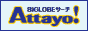 BIGLOBE Search